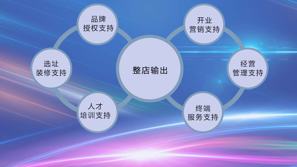 广州诚诚化妆品美容连锁-解决方案